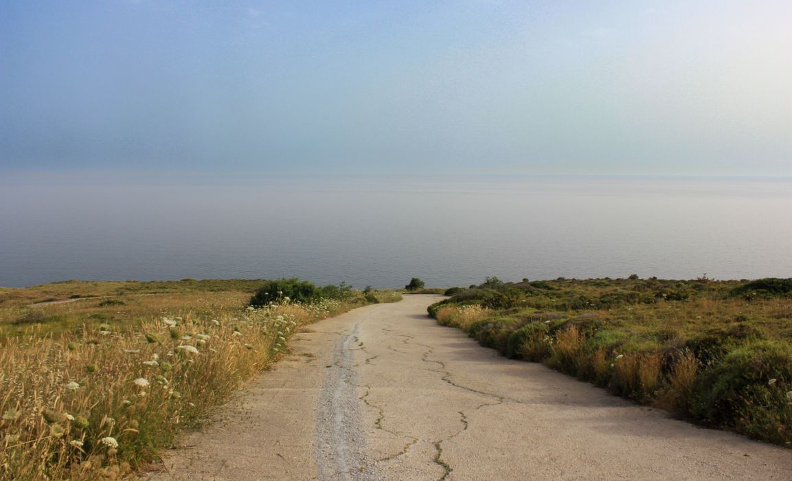 A tranquil coastal road surrounded by greenery leading to the calm sea under a serene sky.